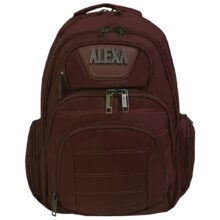 کوله پشتی لپ تاپ الکسا مدل ALX716
