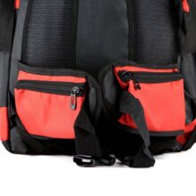 کوله پشتی کوهنوردی Deuter مدل D55