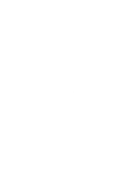 منتخب برند مایسا