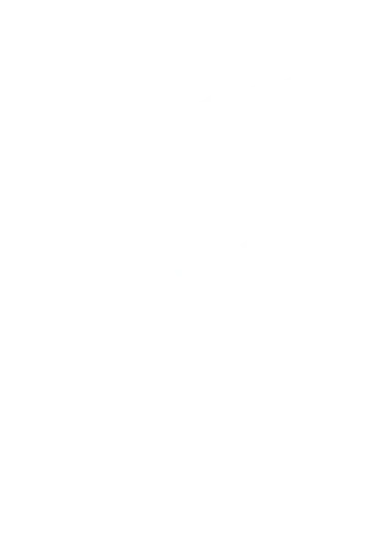 منتخب برند ماژرو